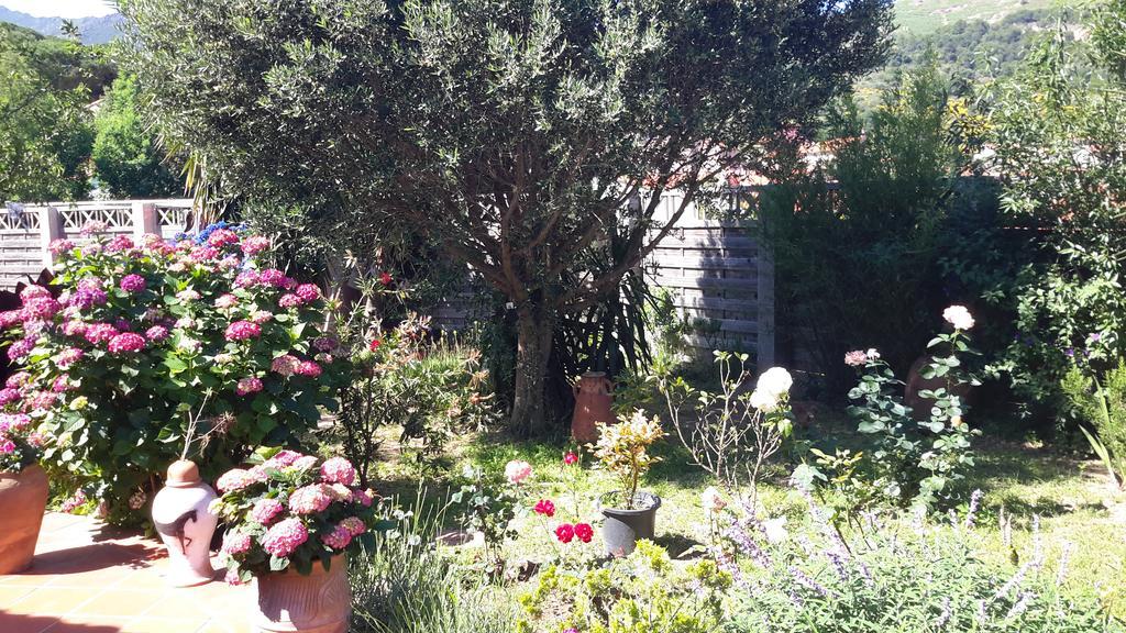 La Chambre De Salome Collioure Zewnętrze zdjęcie
